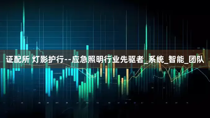 证配所 灯影护行--应急照明行业先驱者_系统_智能_团队