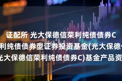 证配所 光大保德信荣利纯债债券C: 光大保德信荣利纯债债券型证券投资基金(光大保德信荣利纯债债券C)基金产品资料概要更新