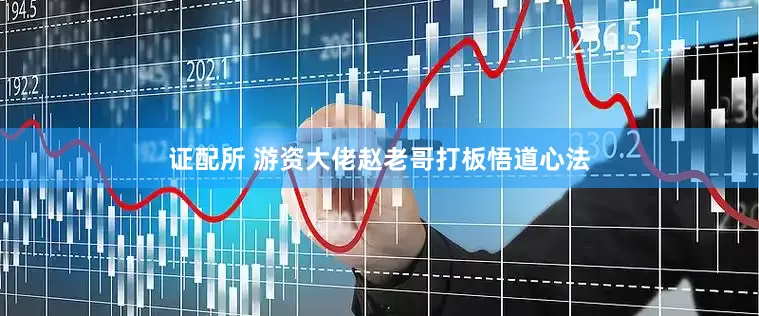 证配所 游资大佬赵老哥打板悟道心法