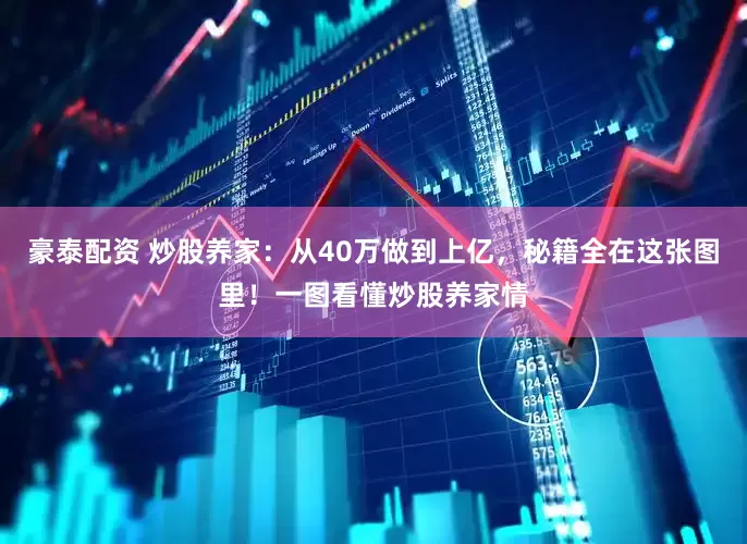 豪泰配资 炒股养家：从40万做到上亿，秘籍全在这张图里！一图看懂炒股养家情