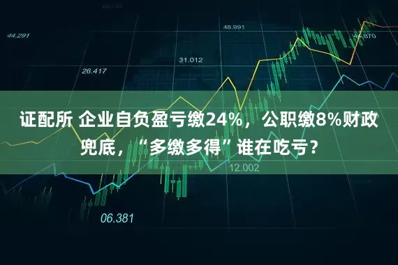 证配所 企业自负盈亏缴24%，公职缴8%财政兜底，“多缴多得”谁在吃亏？
